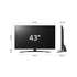 Kép 6/7 - Lg UHD SMART LED TV 43UR81003LJ